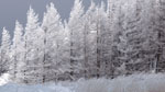 冬の景色　冬をイメージする風景写真　高解像度の壁紙