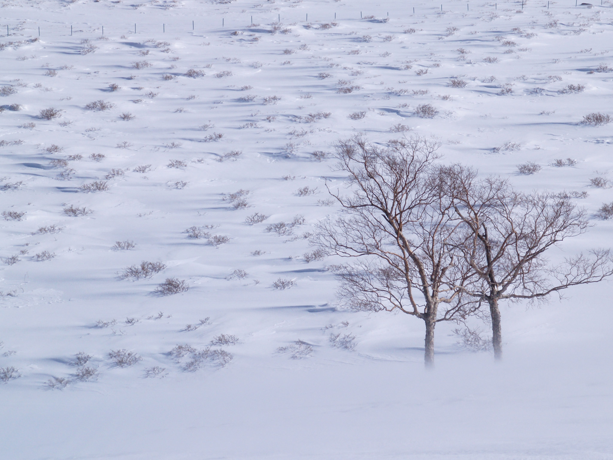 四季 冬の無料壁紙 冬の風景写真 高解像度 高画質