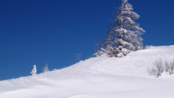 長野・美ヶ原の雪景色の風景写真　高画質の壁紙
