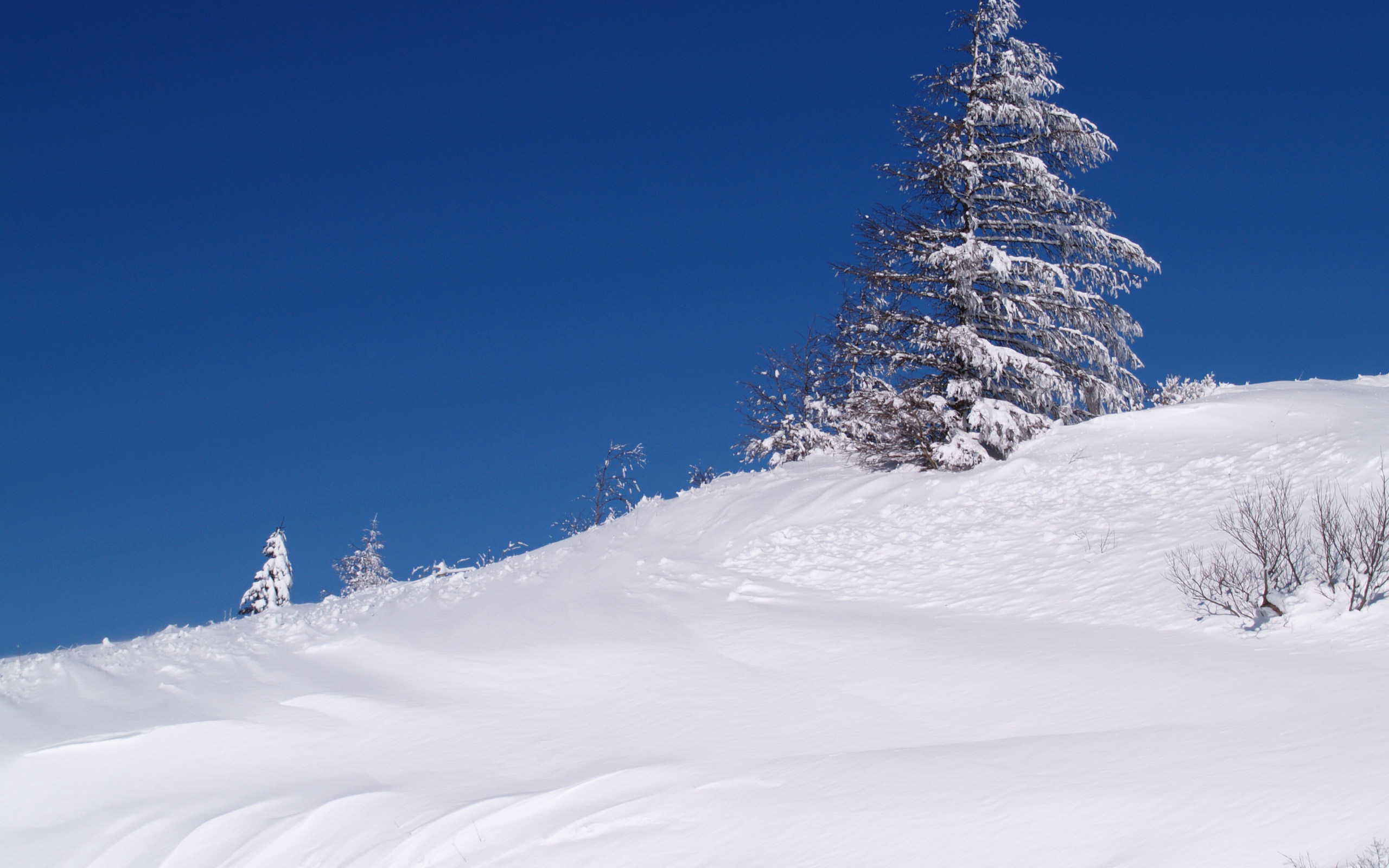 ディズニー画像ランド トップ100壁紙 スマホ 壁紙 雪景 色