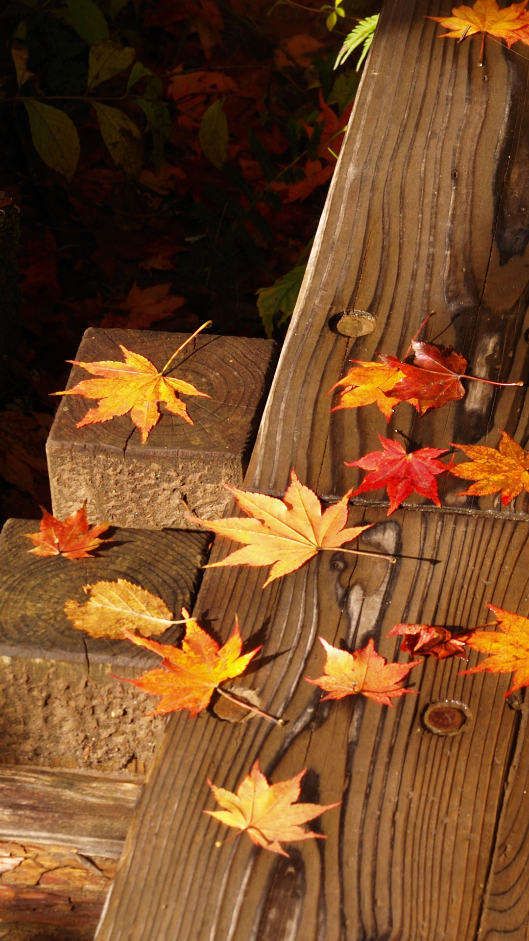 声を出して 債務 移動する 紅葉 壁紙 高 画質 スマホ ゲスト 力学 無一文