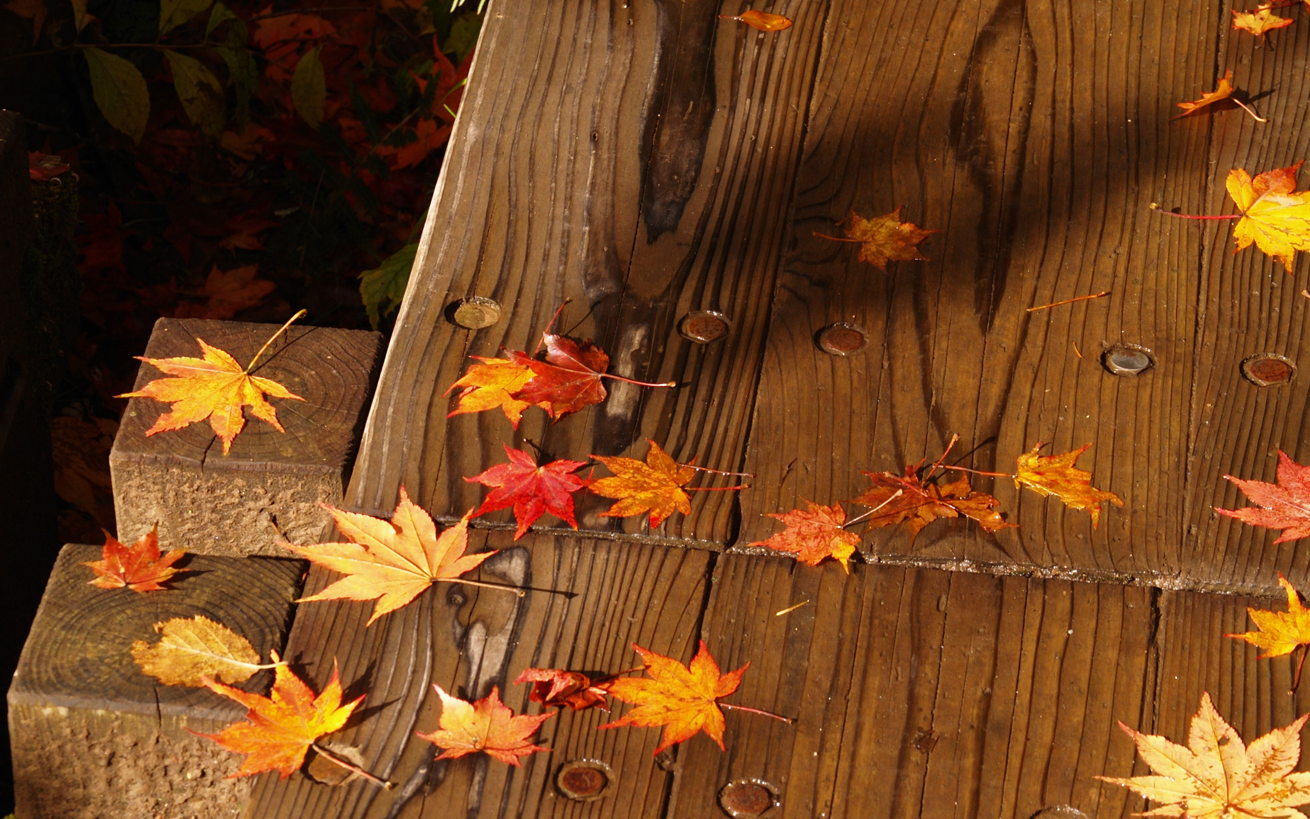 秋を感じる壁紙89枚 無料 秋 紅葉をテーマにした美しい壁紙画像