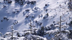 長野・北八ヶ岳の雪景色の風景写真　高解像度の壁紙