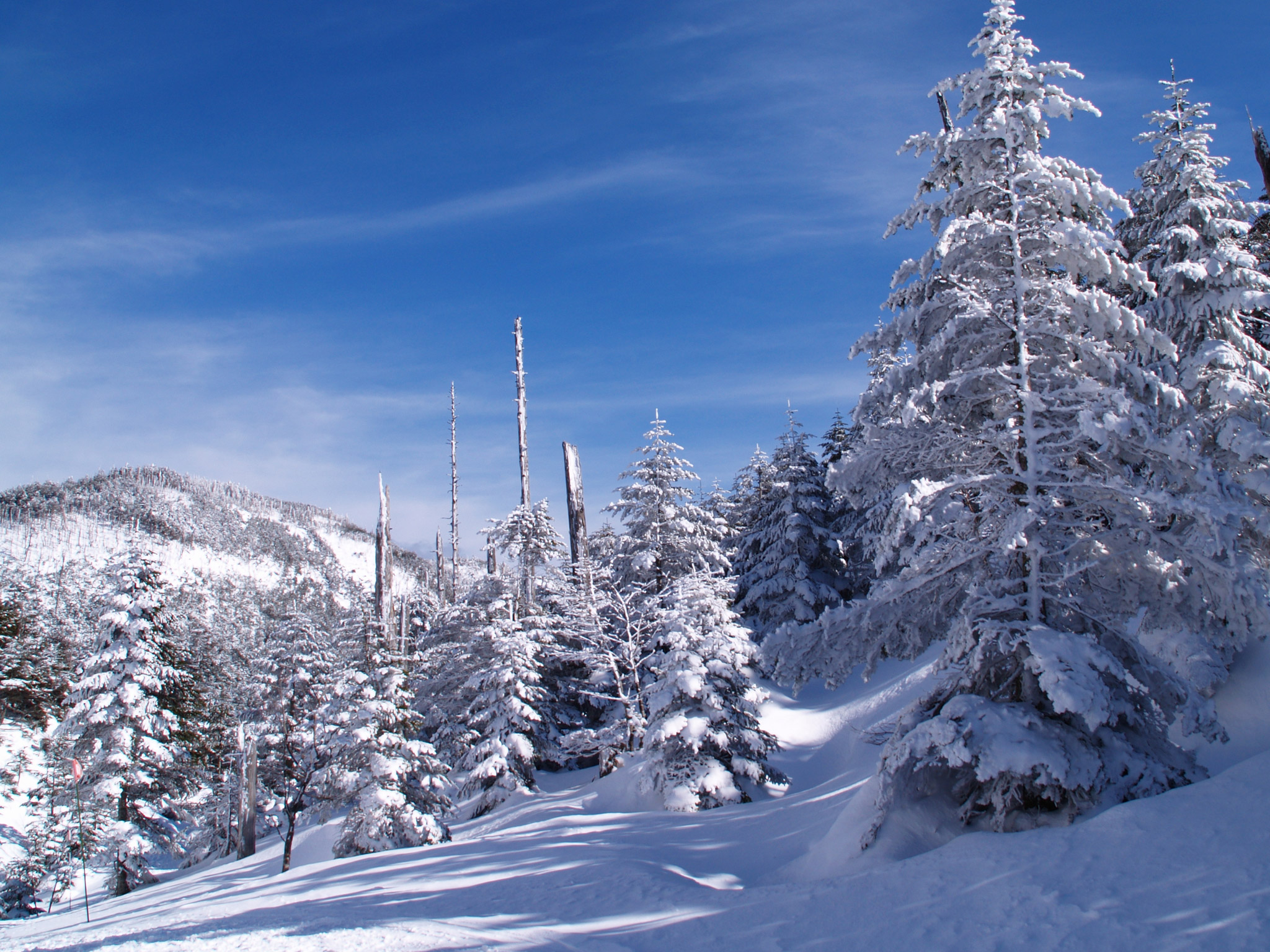 四季 冬の無料壁紙 冬の風景写真 高解像度 高画質