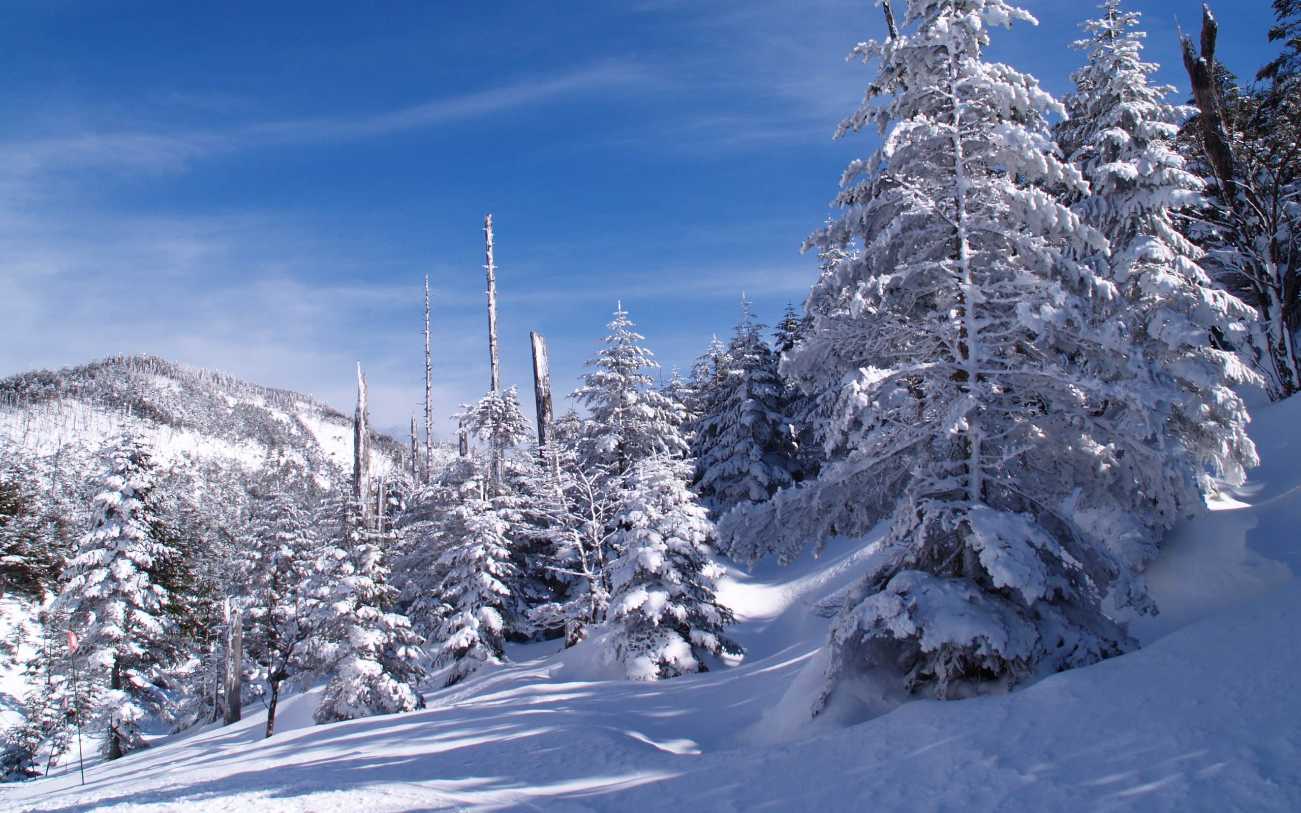 冬 景色 壁紙の画像116点 完全無料画像検索のプリ画像 Bygmo