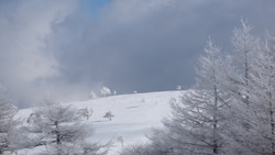 厳冬の美ヶ原、カラマツの樹氷　風景写真　高解像度・高画質の壁紙