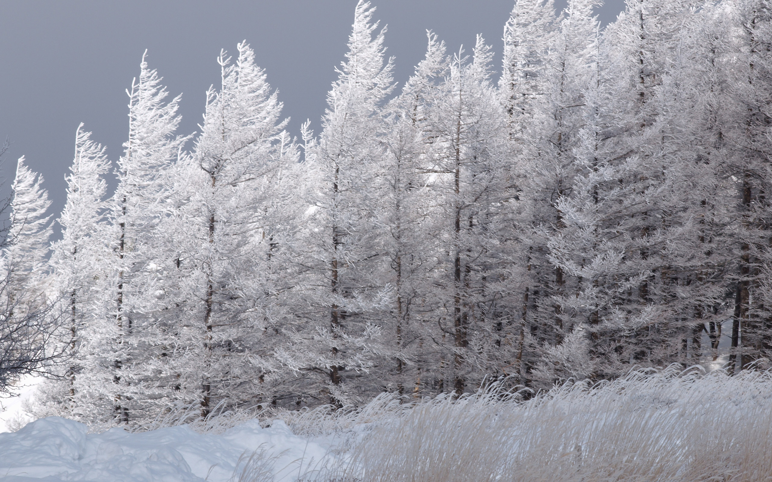 ベスト冬 景色 雪景 色 壁紙 高 画質 アニメ画像